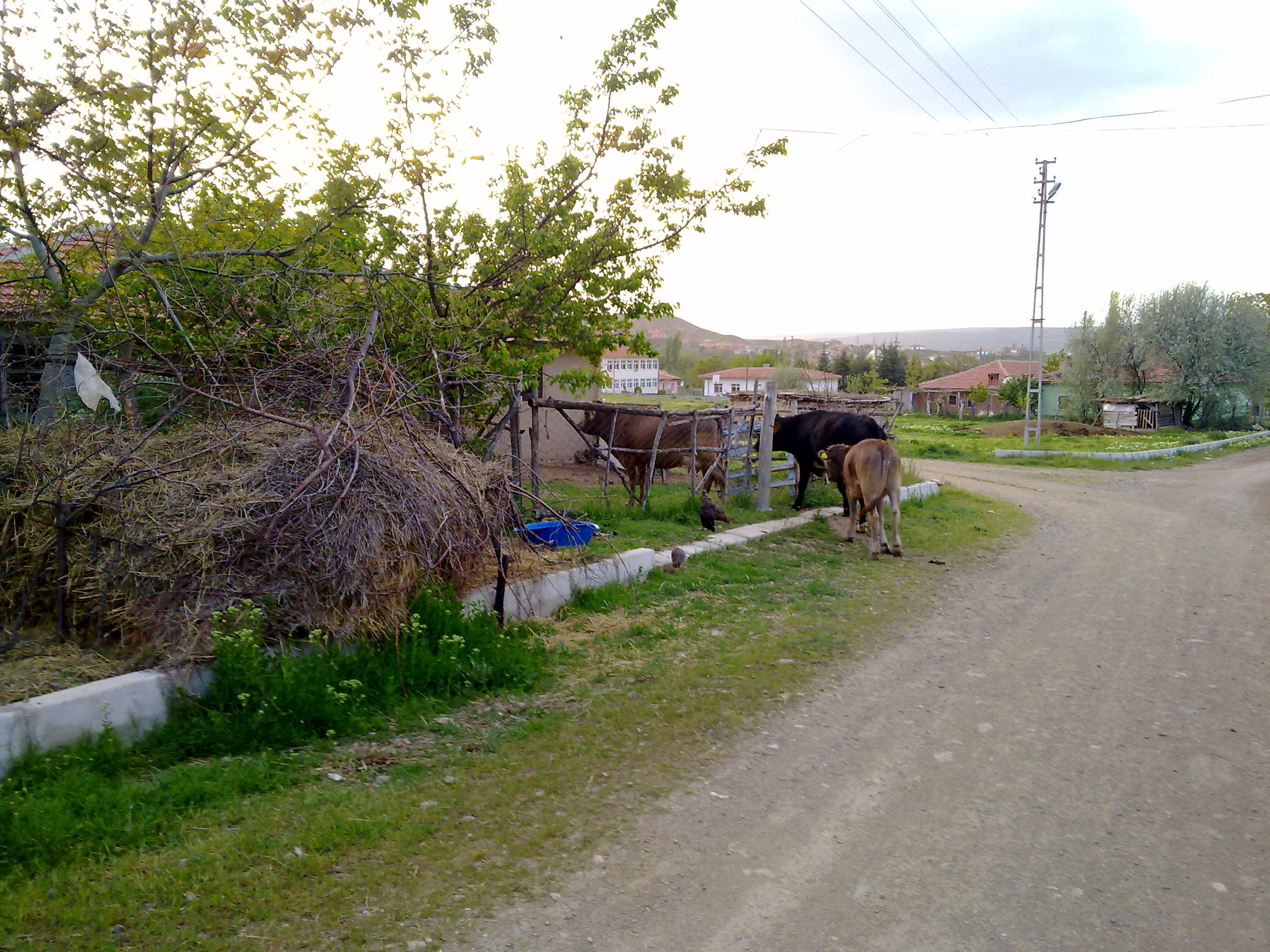 Bu pencereyi kapatmak iin resime klikleyin