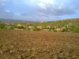 19052011127.jpg