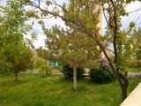 19052011153.jpg