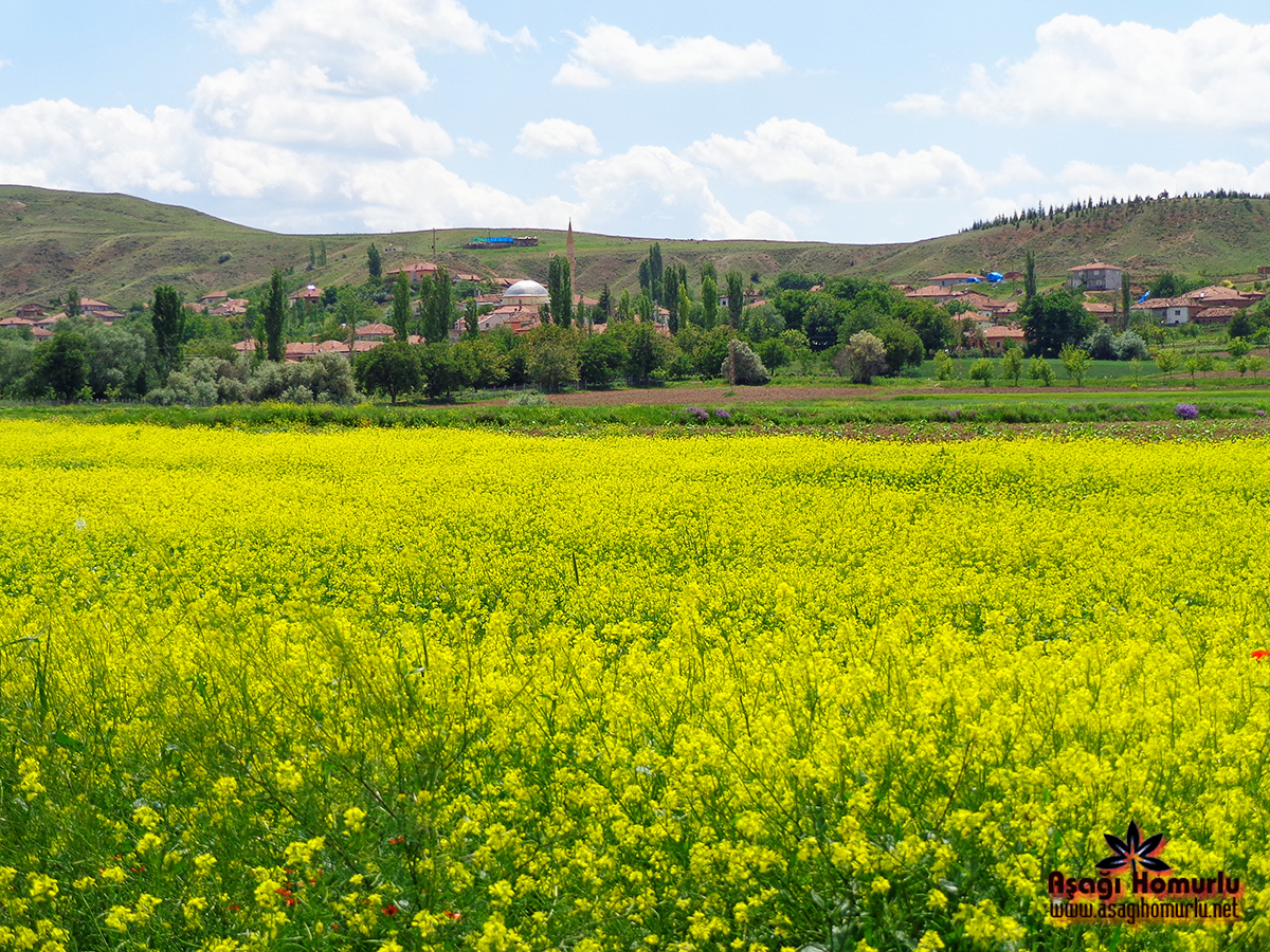 Bu pencereyi kapatmak iin resime klikleyin