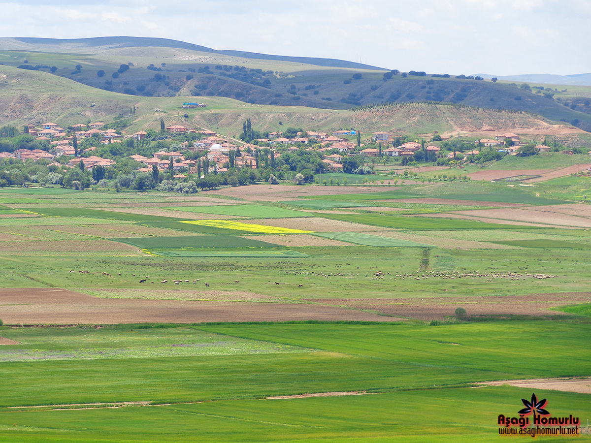 Bu pencereyi kapatmak iin resime klikleyin