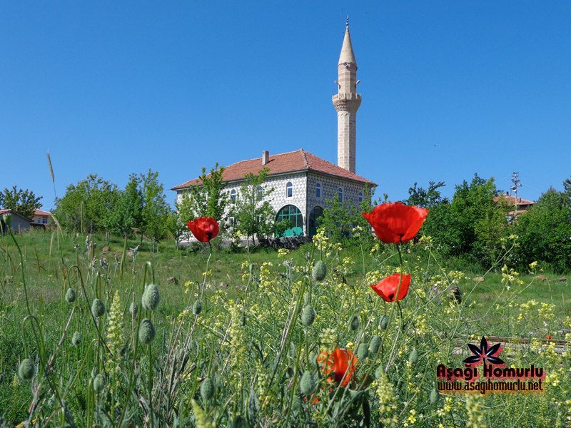 Bu pencereyi kapatmak iin resime klikleyin